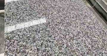 巴彦淖尔 芙蓉白光面