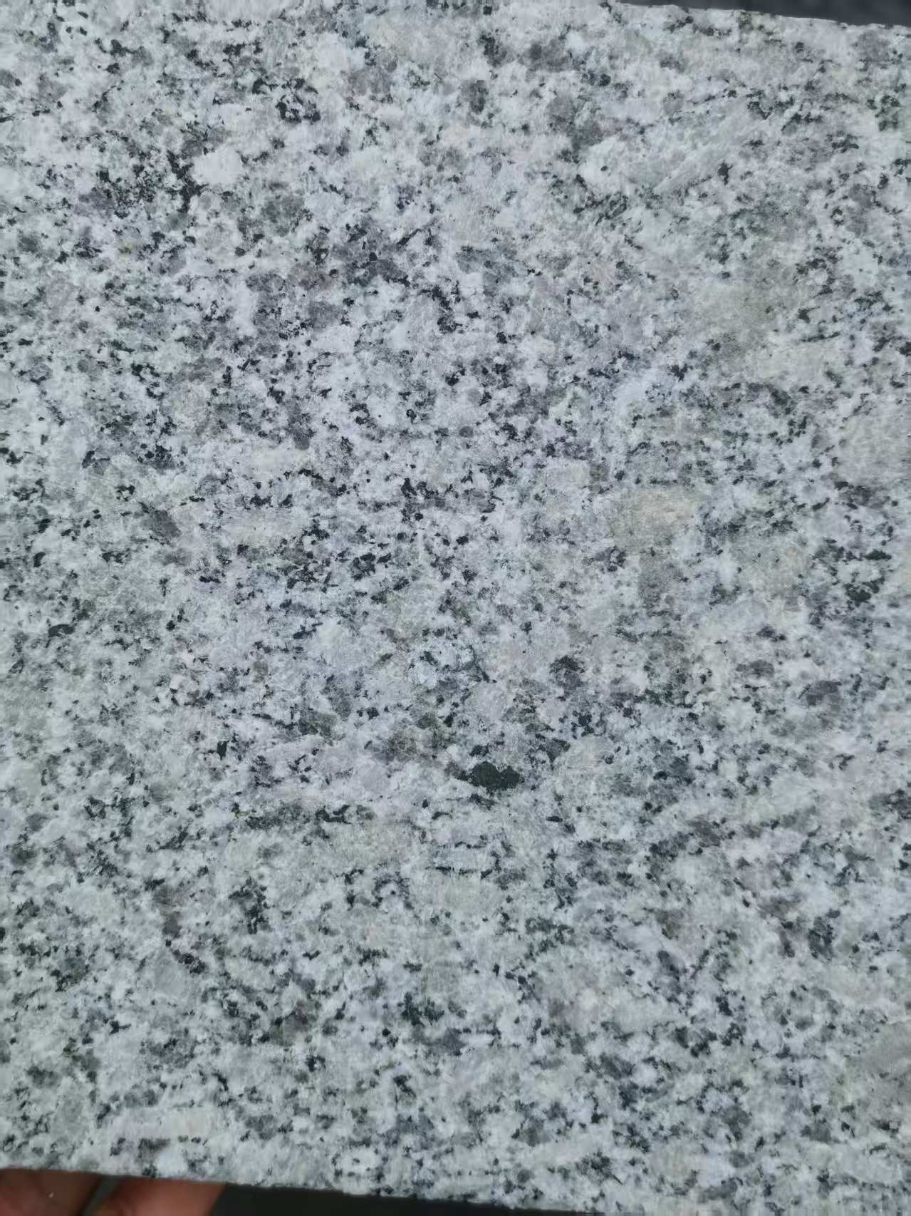 巴彦淖尔 芙蓉白火烧面