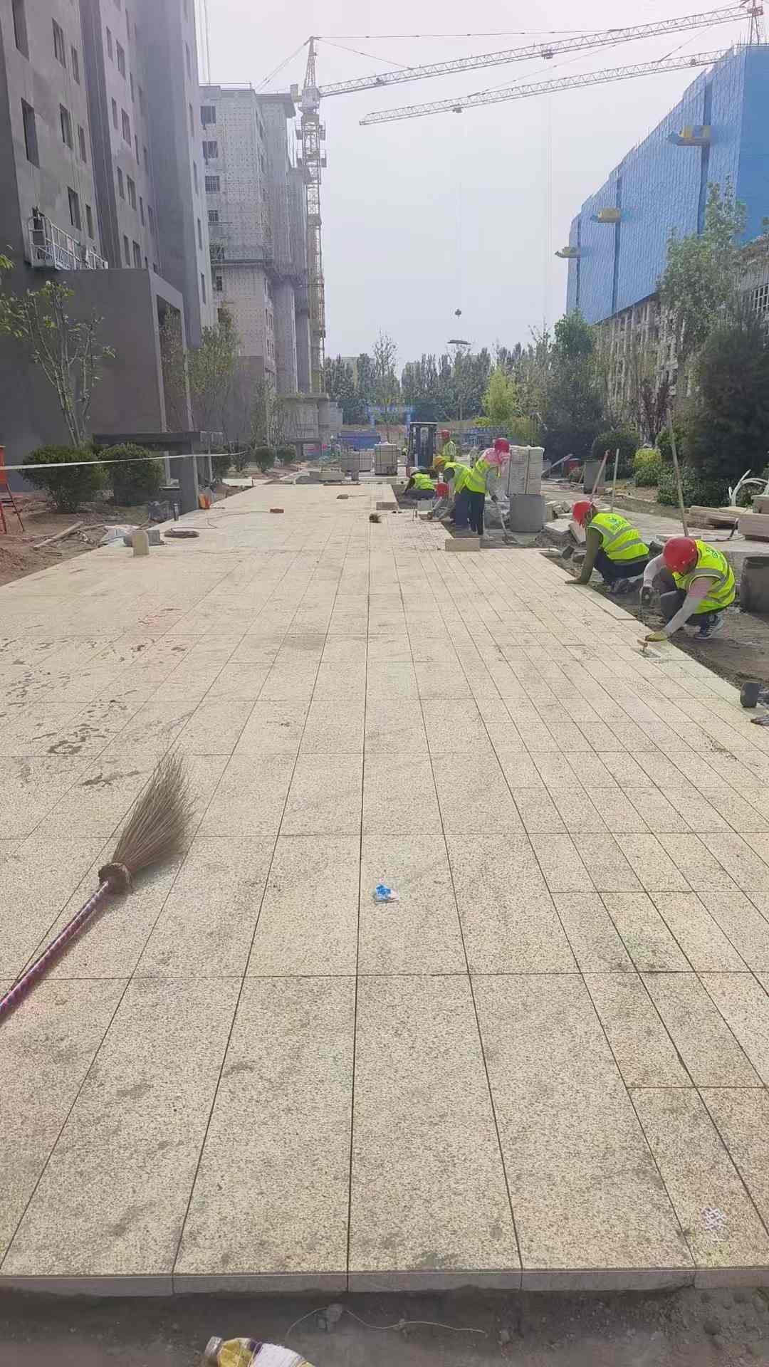巴彦淖尔黄金麻荔枝面地铺案例